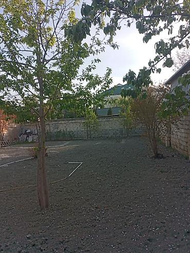 quba şəhəri: 3 otaqlı, 100 kv. m, Kredit yoxdur, Təmirsiz — 5