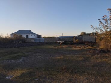 Həyət evləri və villaların satışı: Salam ev rayona 5km məsafədə yerləşir, magistral yola yaxındır.əlavə -da lalafo.az — 14 Həyət evləri və villaların satışı: Salam ev rayona 5km məsafədə yerləşir, magistral yola yaxındır.əlavə — 14