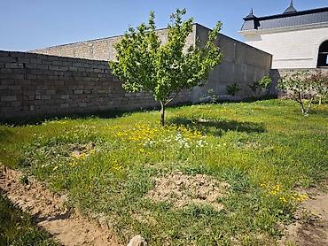 Torpaq: 8 sot, Makler, Kupça (Çıxarış) — 1