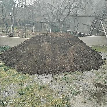 qida məhsullarının topdan satışı: Qara torpaq muganli ismayili samaxi butun rayonlardan getrilir elave — 1