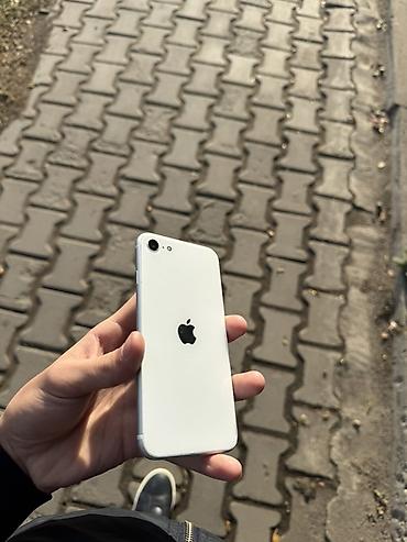IPhone SE 2020, Б/у, 64 ГБ, Белый, Кабель, 79 %