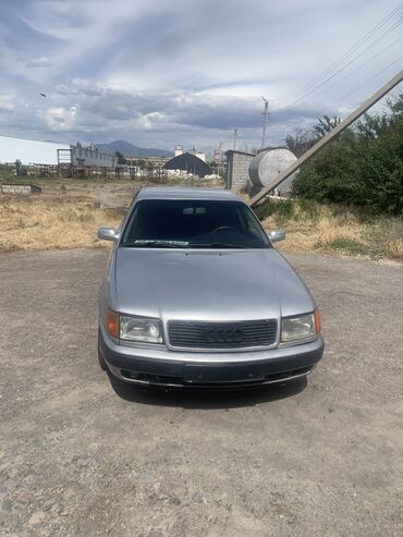 Audi: Audi 100: 1991 г., 2.8 л, Механика, Газ, Седан