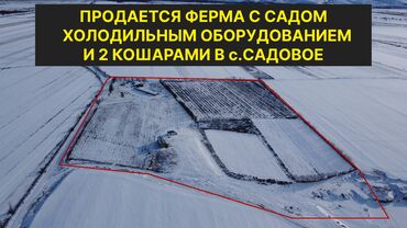 азиз недвижимость: 550 соток, Действующий, С оборудованием, Электричество