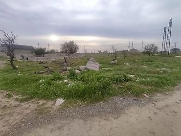 zabratda: 4 sot, Tikinti, Mülkiyyətçi — 7