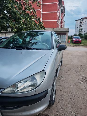 testeri napona: Peugeot 206, 3-vrata, srebrna boja, benzinski hatchback kompaktne — 4