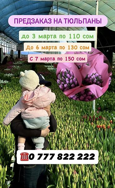 Цветы из бисера: Принимаем предзаказ тюльпанов!!! Успейте заказать!!! До 3 марта 110 — 1