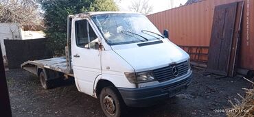 Mercedes-Benz: Mercedes-Benz Sprinter: 1999 г., 3 л, Механика, Бензин, Бус