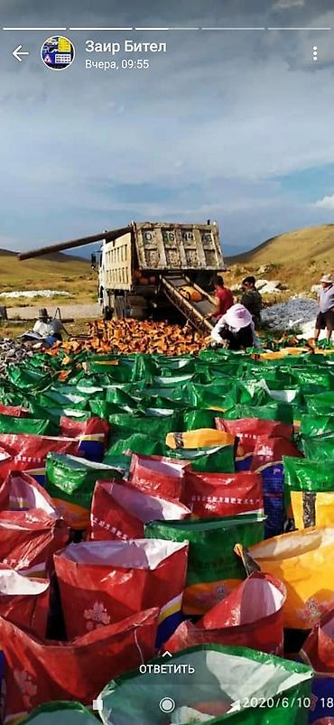 Другое: Бесплатная доставка — 3