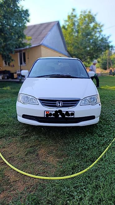e53 amg: Honda Odyssey: 2003 г., 2.3 л, Автомат, Бензин, Минивэн — 1