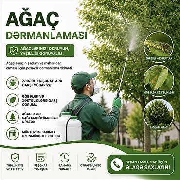 Landşaft işləri: BUTA Landşaft olaraq, Azərbaycanın bütün bölgələrinə xidmətimiz — 4
