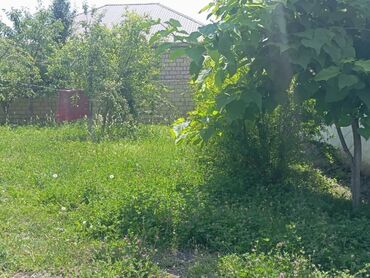 xacmazda ev satisi: Tikinti, Barter mümkündür, Kupça (Çıxarış)