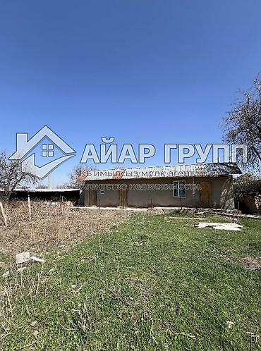 кок талаа: 3 соток, Курулуш — 1