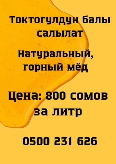 чемеричная вода: Натуральный горный мед из Токтогула, предлагается к продаже. Этот мед
