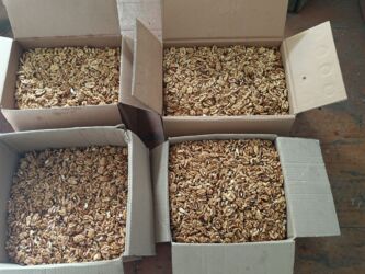 аквариумы в бишкеке: Грецкие орехи 2025 Очищенные Белые