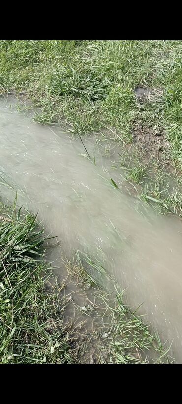 Torpaq sahələrinin satışı: 243 sot, Kənd təsərrüfatı, Mülkiyyətçi, Kupça (Çıxarış) — 4