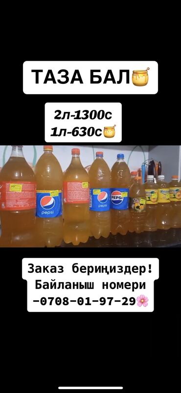 килем ош: Тап-таза бал🍯 1-качкасы килограммы 450с 2-качкасы(горный) -550с Ойноп