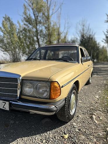 Mercedes-Benz W123: 1980 г., 2.3 л, Автомат, Бензин, Седан