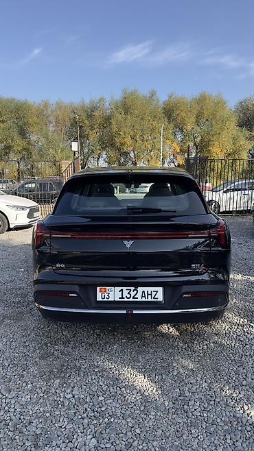 wuling mini ev: BYD : 2024 г., Электромобиль, Кроссовер — 3