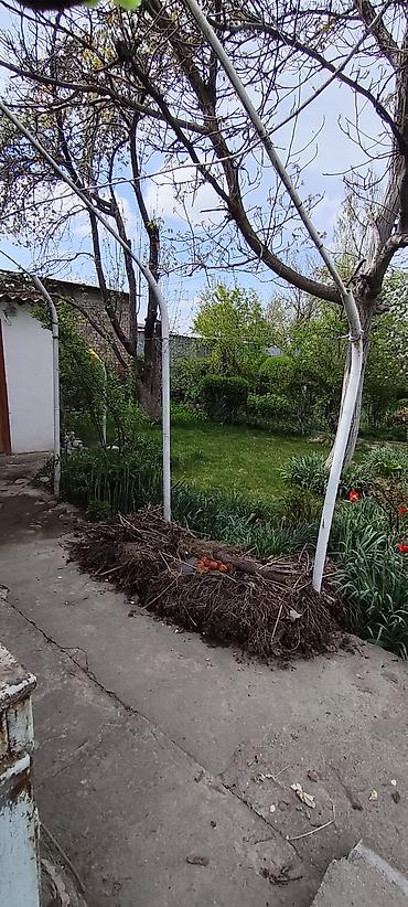 Продажа дач: Продаётся дача с домом и ухоженным участком (с. Нижняя Серафимовна, ДТ — 14