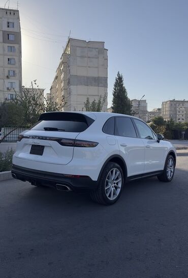 Porsche: Porsche Cayenne: 2019 г., 3 л, Автомат, Бензин, Кроссовер — 3