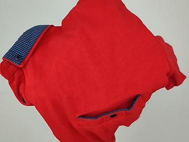 hm basic: Koszulka polo dla mężczyzn, rozmiar L — 6