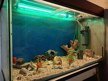 akvarium daş: Dördbucaq akvarium, Boş, 297 l, Ünvandan götürmə — 4
