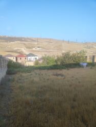 Bağ və bostan üçün digər məhsullar: Qobuda arkodan 1km metir məsafədə asvaltdan 20 metir içəridir 8 — 2