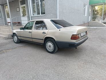полировычный машинка: Mercedes-Benz W124: 1989 г., 2.3 л, Механика, Бензин, Седан