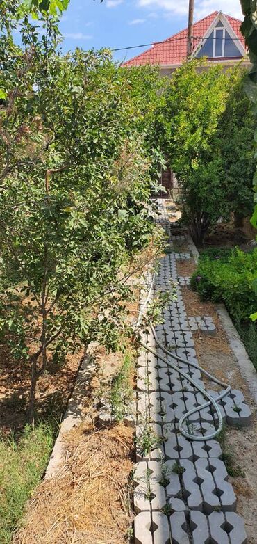 Həyət evləri və villaların satışı: Şağan 3 otaqlı, 65 kv. m, Orta təmir — 14