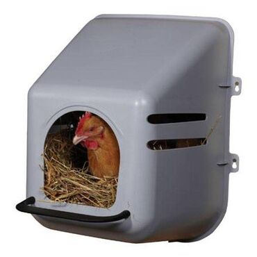 курицы: Птичье гнездо оборудование может зафиксировать на стене для курицы