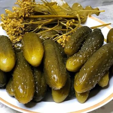 купить уголь в бишкеке цена: Огурцы Оптом