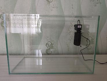 kompressor akvarium: Dördbucaq akvarium, Boş, 72 l, Ünvandan götürmə — 1