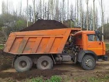 dəniz məhsulları satışı: Salam Ən tez catırılma bizdə.Buyurun Torpaqin Şəkilin və Vidyosun — 6