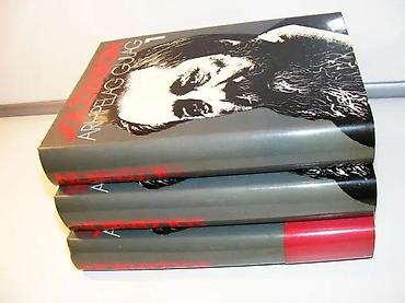 Knjige: Arhipelag Gulag : 6. : pokušaj književnog istraživanja. 1-3Aleksandar — 1