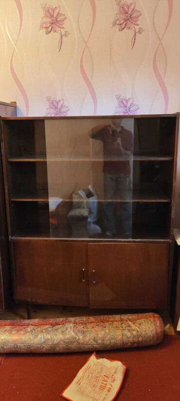 şüşəli şkaf: Açılan, 2 qapılı Düz dolab, Kitab dolabı
