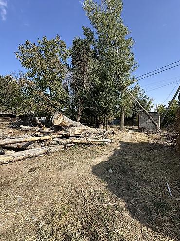 Продажа коттеджей и домов: 📍В Сокулуке продаются 2 дома, расположенные на участке 20 соток — 24