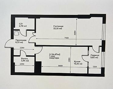 900: 1 комната, 55 м², БГУ Элитка, 10 этаж, ПСО (под самоотделку) — 6