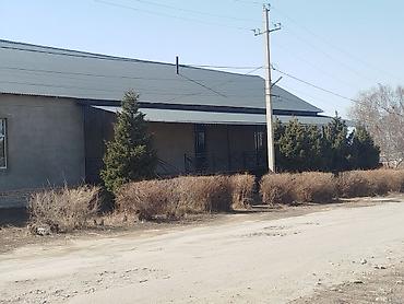 Продажа офисов: Продажа офисов 365 м², С ремонтом, С мебелью, Административное здание, 1 этаж — 14