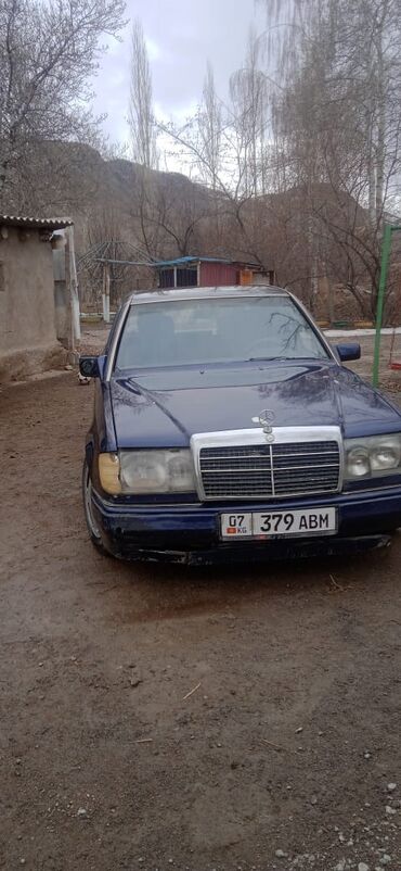 plate na 2 goda: Mercedes-Benz 230: 1991 г., 2.3 л, Автомат, Бензин