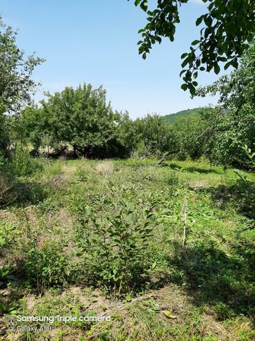 Torpaq sahələrinin satışı: 10 sot, Tikinti, Mülkiyyətçi, Kupça (Çıxarış) -da lalafo.az — 14 Torpaq sahələrinin satışı: 10 sot, Tikinti, Mülkiyyətçi, Kupça (Çıxarış) — 14