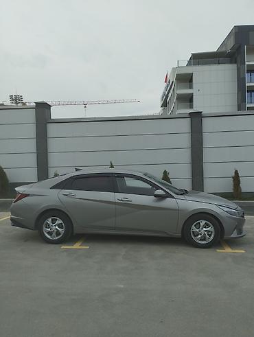 Hyundai: Hyundai Avante: 2020 г., 1.6 л, Автомат, Бензин, Седан — 7