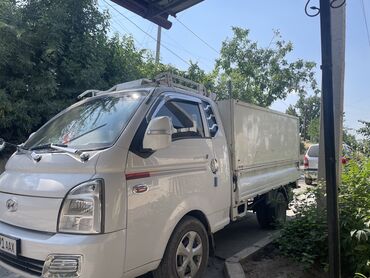 бампер на опель вектра б: Hyundai Porter: 2020 г., 2.5 л, Типтроник, Дизель, Универсал