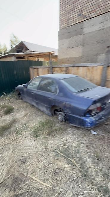Honda: Honda Civic: 2004 г., Седан — 4