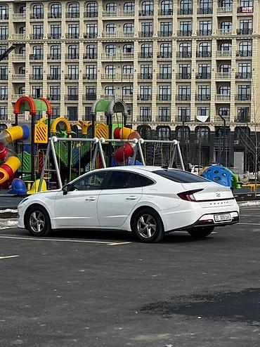 Hyundai: Hyundai Sonata: 2019 г., 2 л, Автомат, Бензин, Седан — 5