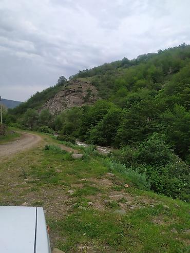 ucuz evlər satış: 8 otaq, 220 kv. m, Kredit yoxdur, Yeni təmirli — 9