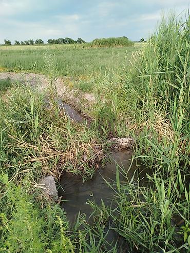 Продажа участков: 500 соток, Для сельского хозяйства, Красная книга — 9