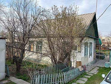 Другие удобства для дома и сада: Другие удобства для дома и сада, Самовывоз — 2