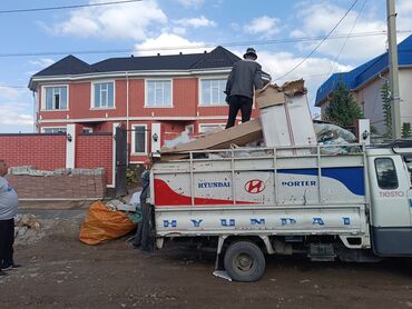 Грызуны: Вывоз мусора вывоз мусора вывоз Вывоз мусора вывоз мусора вывоз