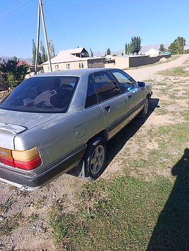 crown 2.5: Audi 100: 1989 г., Седан — 2