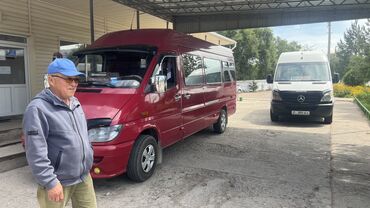купить щенка чихуахуа: Mercedes-Benz Спринтер: 2002 г., 2.2 л, Механика, Дизель, Бус